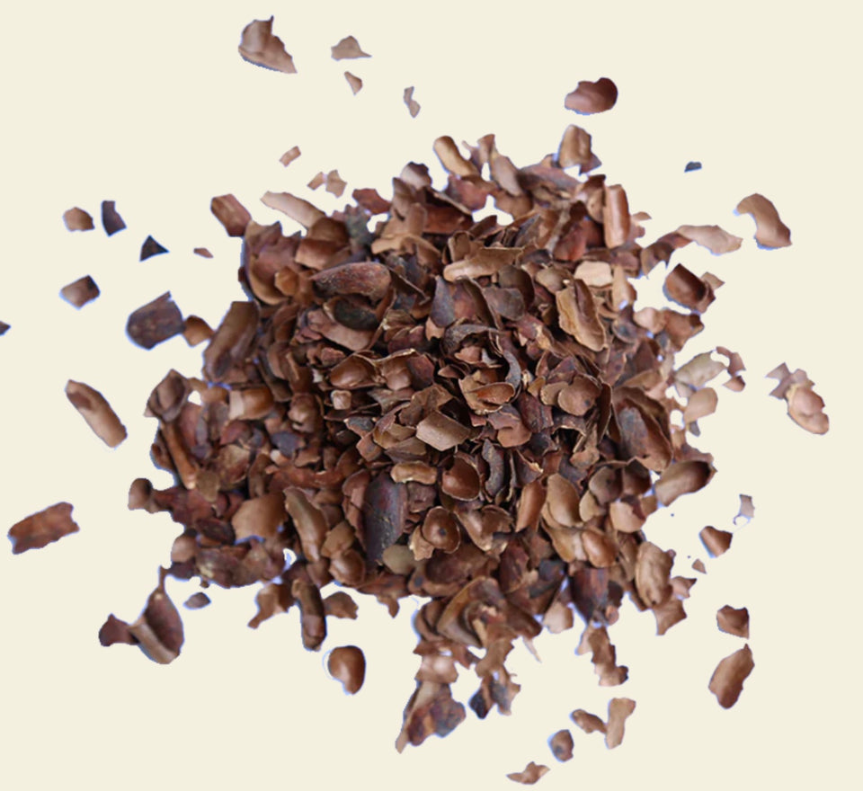 close up of cacao tea