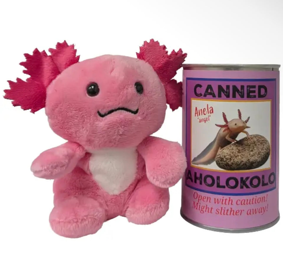 Hawaiian canned stuffed pets