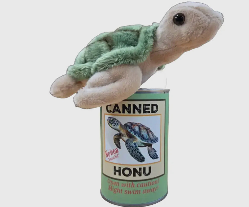 Honk - turtle sitting on top of can