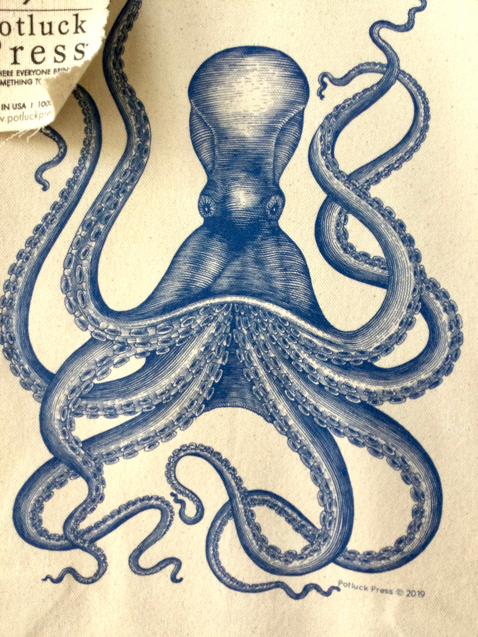 Close up detail of blue octopus design 