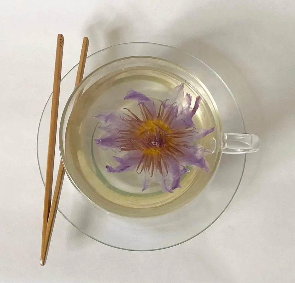 Showing the lotus blooming a clear cup