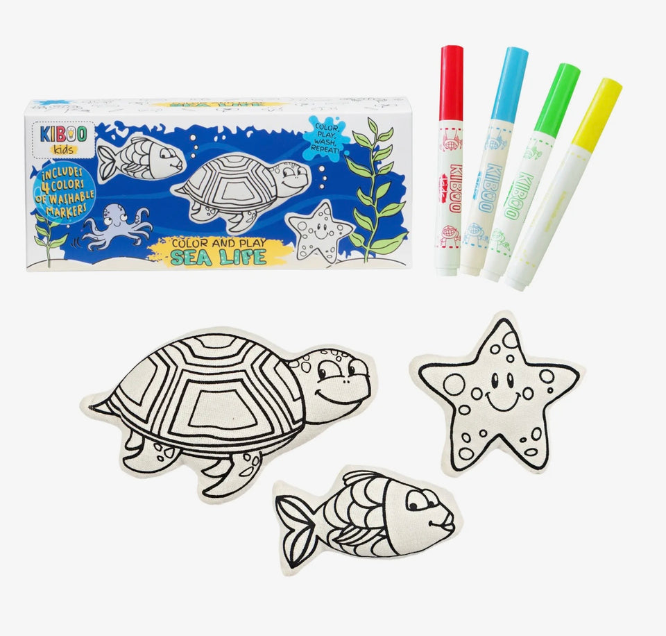 Coloring kits for kids