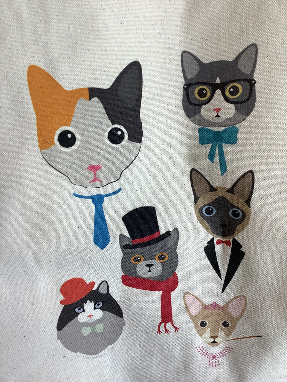 Detail of cats 