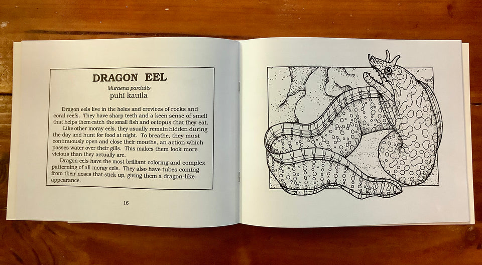Fishes of Hawaii Coloring Book by Susan Brandt