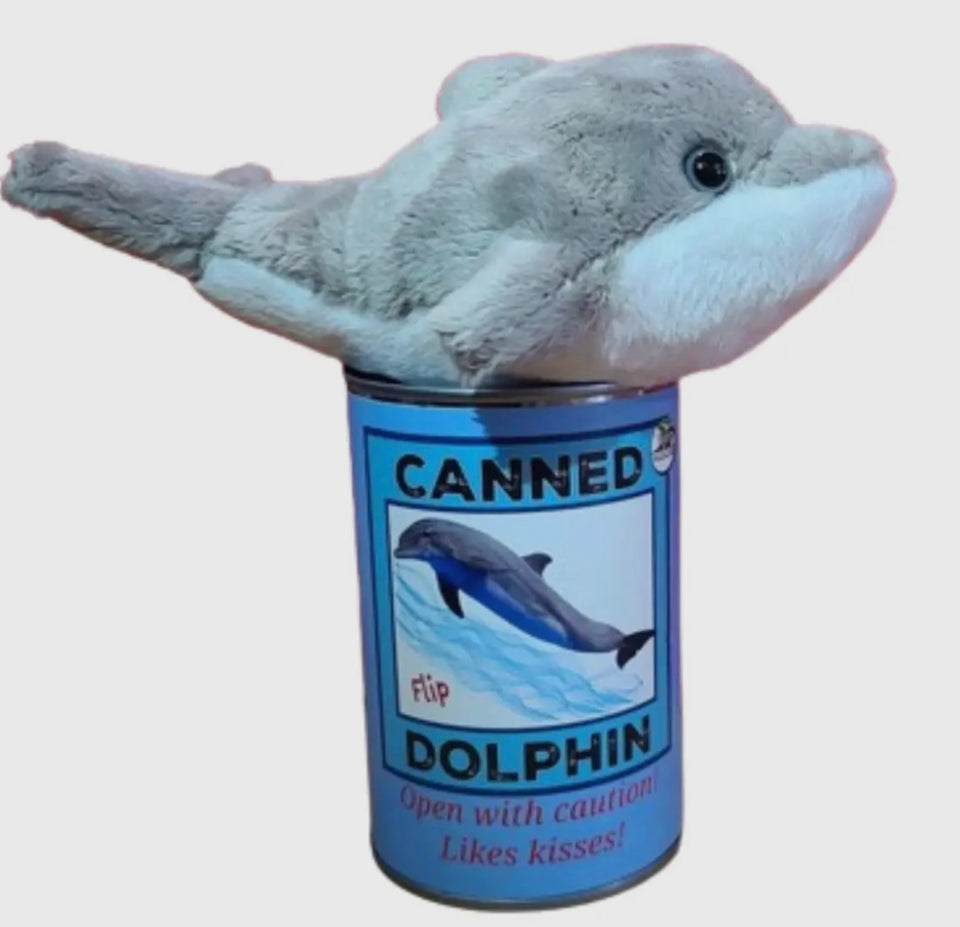 Dolphin sitting on top of can
