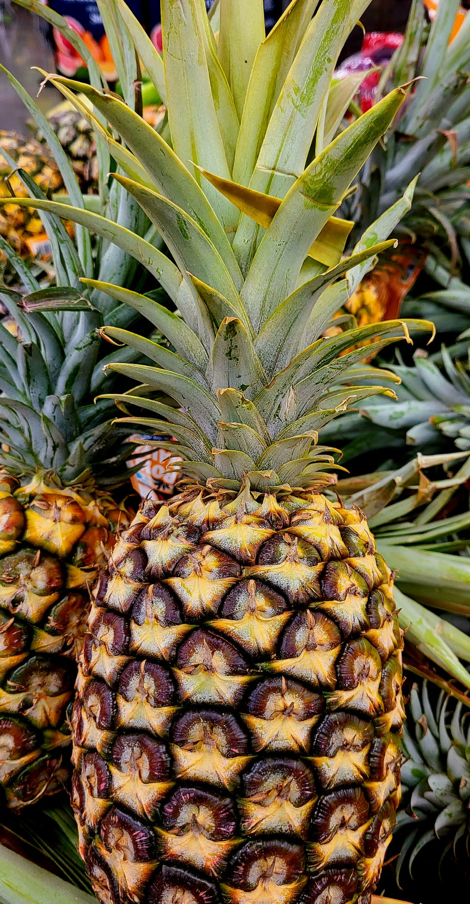 Photo of Pineapple asan example of what you can add to your gift