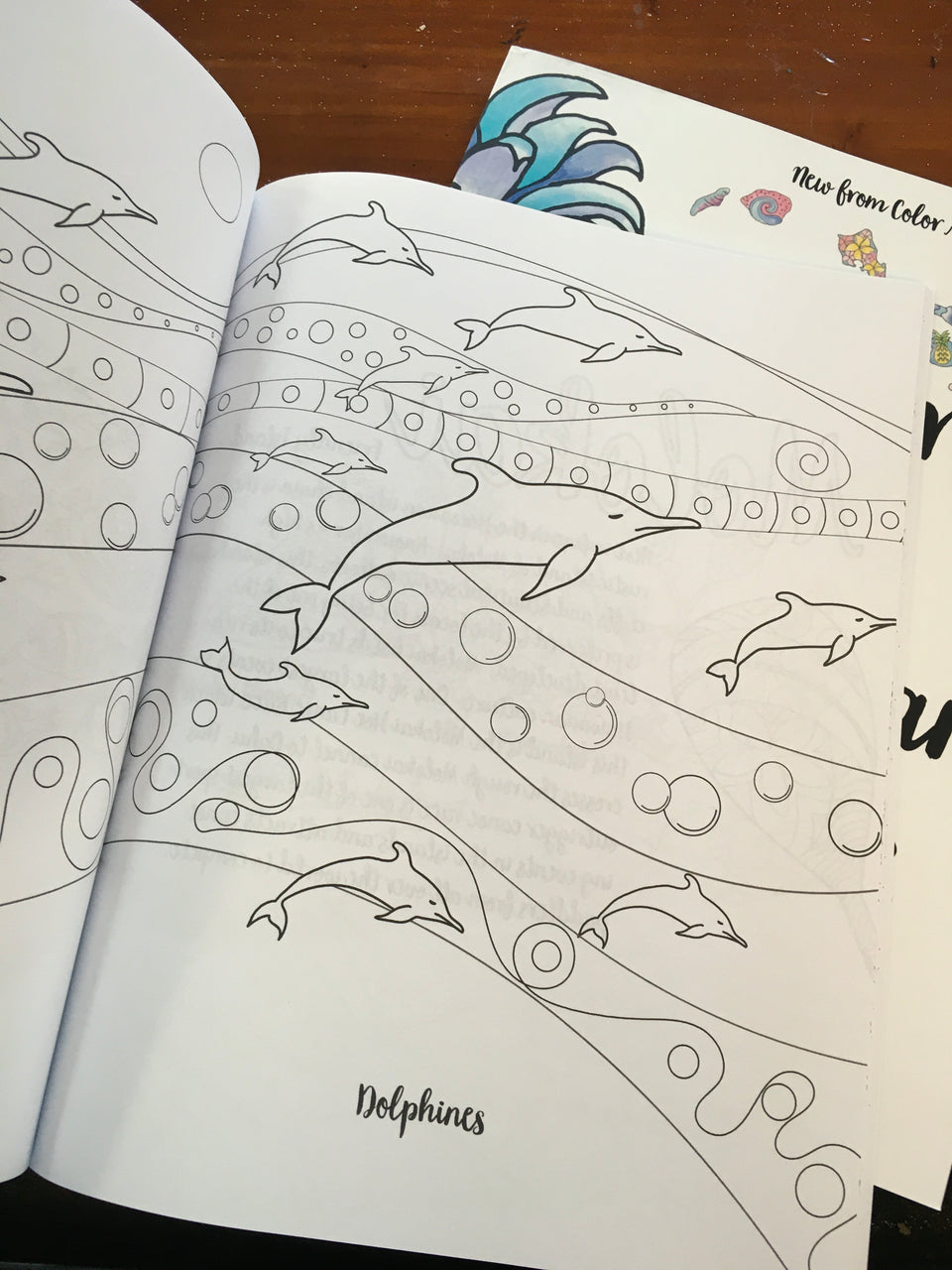 example ofthe pages in side the coloring book