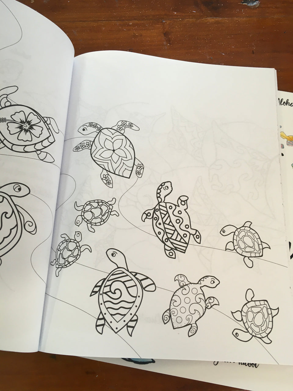 turtles inside pages of coloring book as examples 