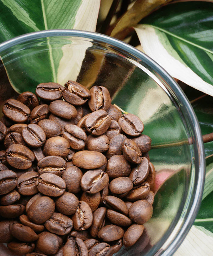 coffee beans in glass dish