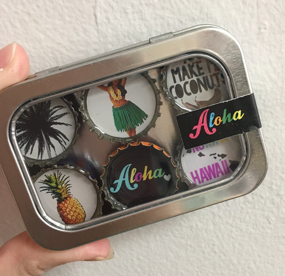 Box of six hawaiian magnets